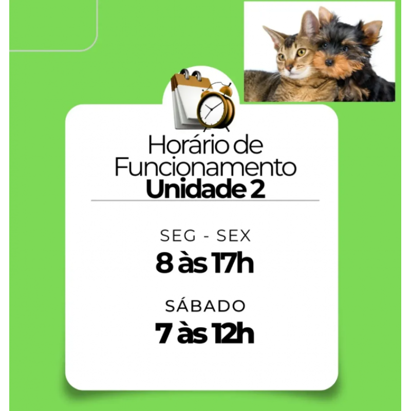 Pet feliz 2